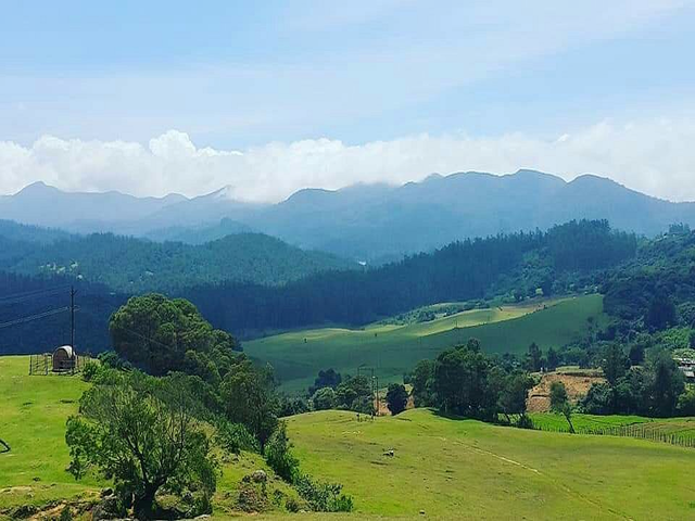Vazhga Valamudan Adventures | Kodaikanal Off Jeep Safari | Jeep safari in Kodaikanal | Off road jeep safari Kodaikanal | Kodai off road jeep safari | Kodaikanal wildlife safari | Kodaikanal jeep tours | Jeep safari adventure Kodaikanal | Kodaikanal off-road adventure | Wildlife jeep safari Kodaikanal | Kodaikanal forest jeep safari | Kodaikanal nature jeep safari | Kodaikanal jeep rental | Kodaikanal jeep safari booking | Best jeep safari Kodaikanal | Kodaikanal jeep safari packages | Kodaikanal night jeep safari | Kodaikanal trekking jeep safari | Kodaikanal jeep safari price | Jeep safari near Kodaikanal | Kodaikanal adventure jeep trips | Kodaikanal hill station jeep safari | Jeep safari trails Kodaikanal | Kodaikanal nature adventure jeep | Kodaikanal jeep safari tour packages | Kodaikanal jeep ride experience | Best Jeep rental Kodai | Kodai private jeep safari | Kodaikanal off-road trails jeep safari | Jeep wildlife tours Kodaikanal | Kodaikanal jeep safari for families | Kodaikanal tour packages | Kodaikanal local sightseeing | Local tour Kodaikanal | Kodaikanal sightseeing tours | Kodaikanal full day tour | Kodaikanal holiday packages | Best tours in Kodaikanal | Kodaikanal city tour | Kodaikanal picnic tour | Kodaikanal village tour | Kodaikanal forest tour | Kodaikanal nature tour | Kodaikanal day tours | Kodaikanal trekking tours | Kodaikanal adventure tours | Kodaikanal hill station tours | Kodaikanal tourist packages | Kodaikanal boat tour | Kodaikanal sightseeing packages | Kodaikanal sightseeing car rental | Kodaikanal tour deals | Kodaikanal sightseeing spots | Kodaikanal couple tours | Kodaikanal group tours | Kodaikanal family tours | Kodaikanal custom tours | Kodaikanal budget tours | Kodaikanal holiday sightseeing | Kodaikanal sightseeing by car | Kodaikanal nature trails | Kodaikanal Eco tours | Kodaikanal weekend tours | Kodaikanal package deals | Kodaikanal local guide tours | Kodaikanal day trip packages | Kodaikanal sunset tours | Kodaikanal picnic spots | Kodaikanal sightseeing rates | Kodaikanal travel packages | Kodaikanal romantic tours | Kodaikanal sightseeing itinerary | Kodaikanal heritage tours | Kodaikanal sightseeing point list | Kodaikanal sightseeing taxi | Best sightseeing in Kodaikanal | Kodaikanal offbeat tours | Kodaikanal sightseeing map | Kodaikanal sightseeing places 2025 | Kodaikanal special tours | Kodaikanal sightseeing reviews | Kodaikanal nature sightseeing | Kodaikanal taxi service | Cab service in Kodaikanal | Kodaikanal cab rental | Taxi booking in Kodaikanal | Kodaikanal local taxi | Kodaikanal airport taxi | Best cabs in Kodaikanal | Taxi hire Kodaikanal | Kodaikanal car rental | Kodai cab services | Kodai call taxi | Taxi service near me Kodaikanal | Affordable taxi Kodaikanal | Kodaikanal tourist taxi | Kodaikanal outstation cabs | Kodaikanal tempo traveller rental | Kodaikanal taxi fares | Kodaikanal SUV rental | Kodaikanal one way taxi | Book taxi Kodaikanal online | Kodaikanal cab booking app | Kodaikanal taxi for sightseeing | Kodaikanal group cab booking | Kodaikanal monthly cab rental | Taxi with driver Kodaikanal | Kodaikanal cab for couples | Kodaikanal cab packages | Kodai taxi services | Kodaikanal taxi rates | Kodaikanal car hire service