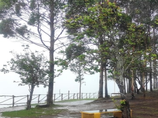 Vazhga Valamudan Adventures | Kodaikanal Off Jeep Safari | Jeep safari in Kodaikanal | Off road jeep safari Kodaikanal | Kodai off road jeep safari | Kodaikanal wildlife safari | Kodaikanal jeep tours | Jeep safari adventure Kodaikanal | Kodaikanal off-road adventure | Wildlife jeep safari Kodaikanal | Kodaikanal forest jeep safari | Kodaikanal nature jeep safari | Kodaikanal jeep rental | Kodaikanal jeep safari booking | Best jeep safari Kodaikanal | Kodaikanal jeep safari packages | Kodaikanal night jeep safari | Kodaikanal trekking jeep safari | Kodaikanal jeep safari price | Jeep safari near Kodaikanal | Kodaikanal adventure jeep trips | Kodaikanal hill station jeep safari | Jeep safari trails Kodaikanal | Kodaikanal nature adventure jeep | Kodaikanal jeep safari tour packages | Kodaikanal jeep ride experience | Best Jeep rental Kodai | Kodai private jeep safari | Kodaikanal off-road trails jeep safari | Jeep wildlife tours Kodaikanal | Kodaikanal jeep safari for families | Kodaikanal tour packages | Kodaikanal local sightseeing | Local tour Kodaikanal | Kodaikanal sightseeing tours | Kodaikanal full day tour | Kodaikanal holiday packages | Best tours in Kodaikanal | Kodaikanal city tour | Kodaikanal picnic tour | Kodaikanal village tour | Kodaikanal forest tour | Kodaikanal nature tour | Kodaikanal day tours | Kodaikanal trekking tours | Kodaikanal adventure tours | Kodaikanal hill station tours | Kodaikanal tourist packages | Kodaikanal boat tour | Kodaikanal sightseeing packages | Kodaikanal sightseeing car rental | Kodaikanal tour deals | Kodaikanal sightseeing spots | Kodaikanal couple tours | Kodaikanal group tours | Kodaikanal family tours | Kodaikanal custom tours | Kodaikanal budget tours | Kodaikanal holiday sightseeing | Kodaikanal sightseeing by car | Kodaikanal nature trails | Kodaikanal Eco tours | Kodaikanal weekend tours | Kodaikanal package deals | Kodaikanal local guide tours | Kodaikanal day trip packages | Kodaikanal sunset tours | Kodaikanal picnic spots | Kodaikanal sightseeing rates | Kodaikanal travel packages | Kodaikanal romantic tours | Kodaikanal sightseeing itinerary | Kodaikanal heritage tours | Kodaikanal sightseeing point list | Kodaikanal sightseeing taxi | Best sightseeing in Kodaikanal | Kodaikanal offbeat tours | Kodaikanal sightseeing map | Kodaikanal sightseeing places 2025 | Kodaikanal special tours | Kodaikanal sightseeing reviews | Kodaikanal nature sightseeing | Kodaikanal taxi service | Cab service in Kodaikanal | Kodaikanal cab rental | Taxi booking in Kodaikanal | Kodaikanal local taxi | Kodaikanal airport taxi | Best cabs in Kodaikanal | Taxi hire Kodaikanal | Kodaikanal car rental | Kodai cab services | Kodai call taxi | Taxi service near me Kodaikanal | Affordable taxi Kodaikanal | Kodaikanal tourist taxi | Kodaikanal outstation cabs | Kodaikanal tempo traveller rental | Kodaikanal taxi fares | Kodaikanal SUV rental | Kodaikanal one way taxi | Book taxi Kodaikanal online | Kodaikanal cab booking app | Kodaikanal taxi for sightseeing | Kodaikanal group cab booking | Kodaikanal monthly cab rental | Taxi with driver Kodaikanal | Kodaikanal cab for couples | Kodaikanal cab packages | Kodai taxi services | Kodaikanal taxi rates | Kodaikanal car hire service